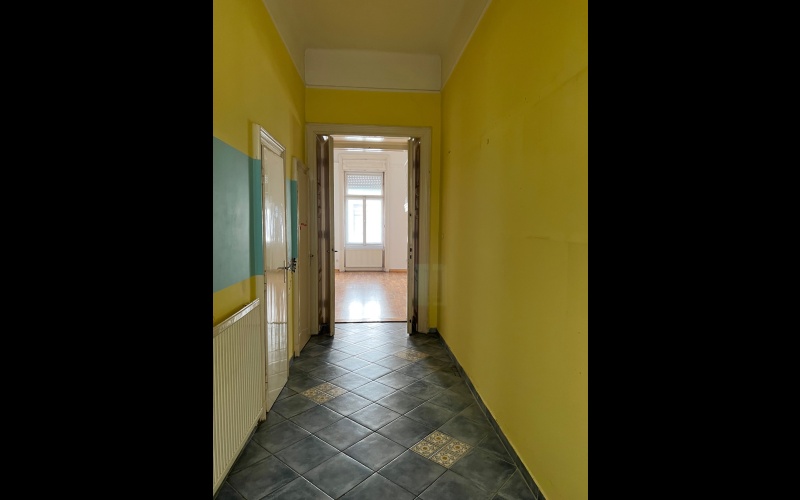 Metamorphosis - Before