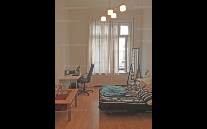 Budapest V. Petőfi Sándor utca 9. - Before