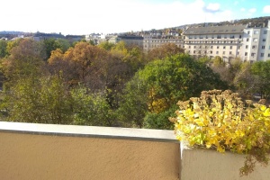 87 m2 flat in good condition overlooking Vérmező!