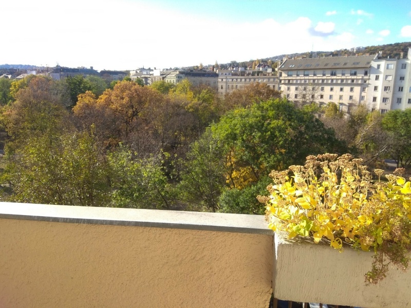 87 m2 flat in good condition overlooking Vérmező!