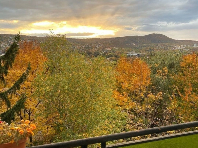 Enjoy the sunset over the Buda Hills from the 9 m2 balcony of this 66 m2 newly renovated gem of a flat in Pasarét!