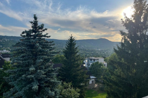 Staggering panorama facing Jánoshegy from a 24 m2 terrace of  a 61 m2 flat on Rózsadomb!