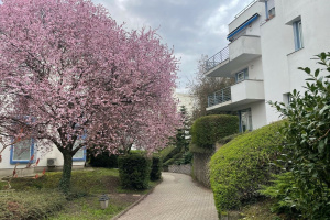 Small apartment on 37 m2 in good condition and in an excellent location in a residential park on Szemlőhegy!