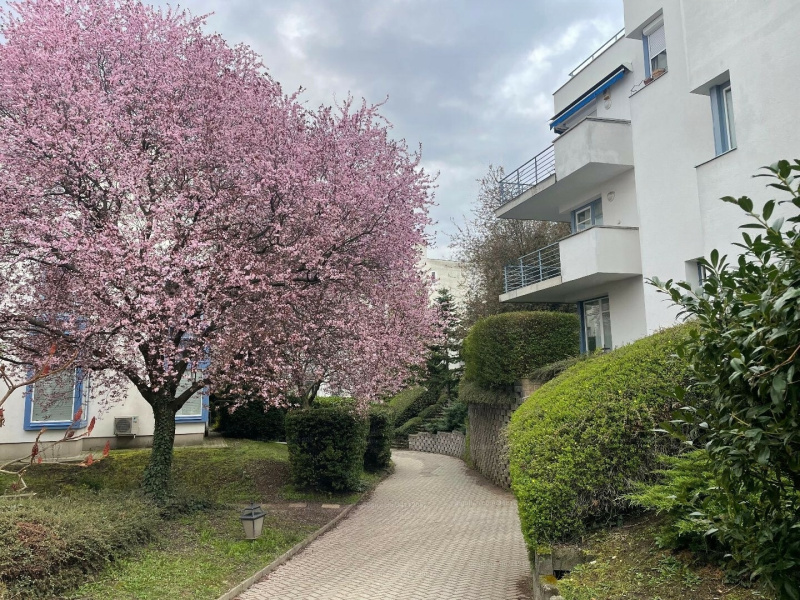 Small apartment on 37 m2 in good condition and in an excellent location in a residential park on Szemlőhegy!