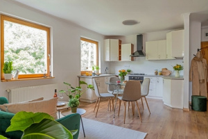 Bright & sunny, renovated flat on 57 m2 with an 8 m2 balcony on top of Kissvábhegy!