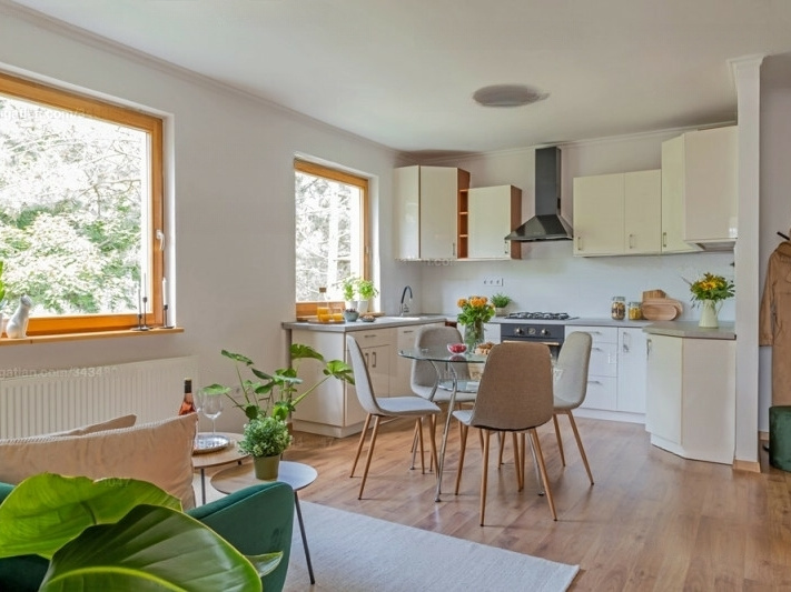 Bright & sunny, renovated flat on 57 m2 with an 8 m2 balcony on top of Kissvábhegy!