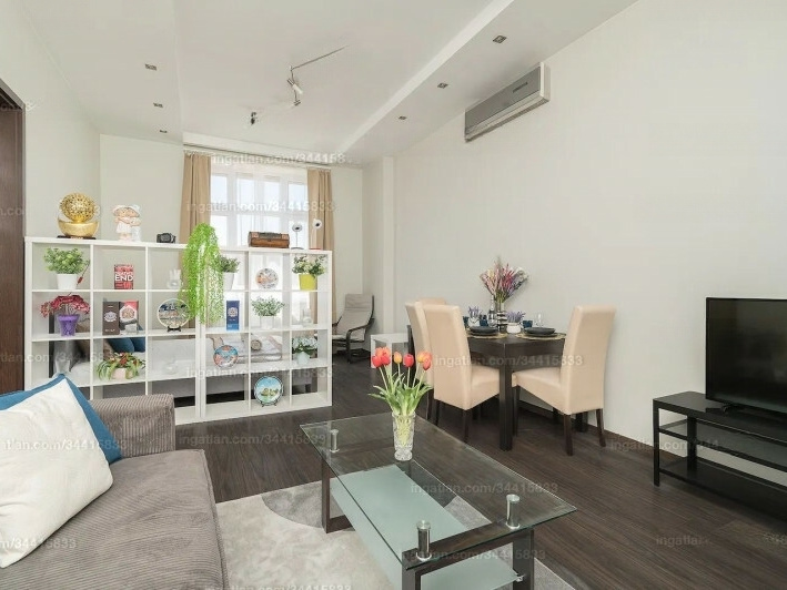 AirBnB flat in good condition on 86 m2 in the 6th!