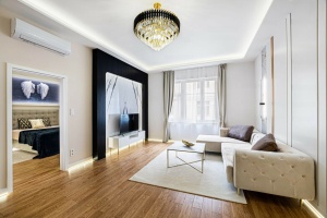V. 103 m2 luxuriously renovated flat near the Parliament with a view of the Danube!